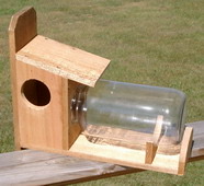 Squirrel Feeder